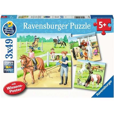 Spiel 6464.0