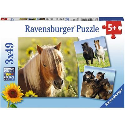 Spiel 6551.0